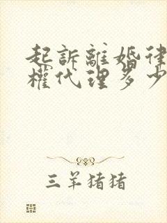 起诉离婚律师全权代理多少钱?