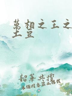 万相之王之天蚕土豆