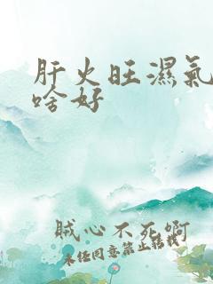 肝火旺湿气重吃啥好