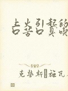 上火引起的口干口苦口臭吃什么药