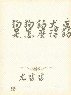 狗狗的犬瘟病毒是怎么得的