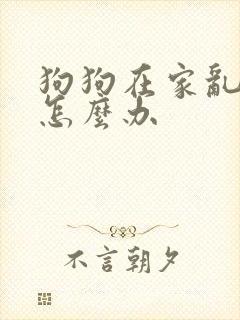 狗狗在家乱拉尿怎么办