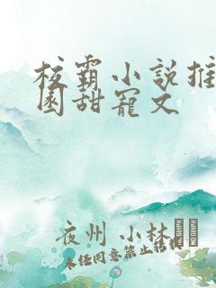 校霸小说推荐校园甜宠文