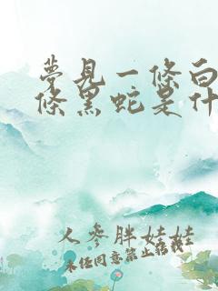 梦见一条白蛇一条黑蛇是什么预兆