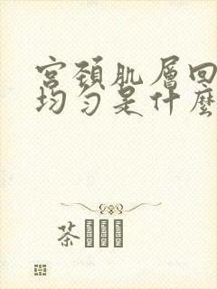 宫颈肌层回声不均匀是什么意思