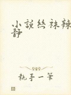 小说丝袜辣妈张静