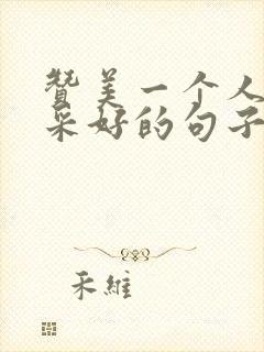 赞美一个人的文采好的句子