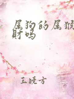 属狗的属猴的合财吗