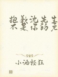 抱歉沈先生孩子不是你的免费看