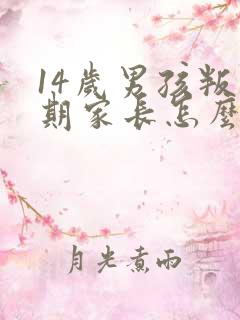 14岁男孩叛逆期家长怎么办?