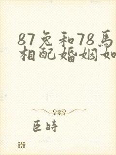87兔和78马相配婚姻如何