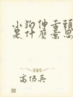 小狗伸舌头喘气是什么意思