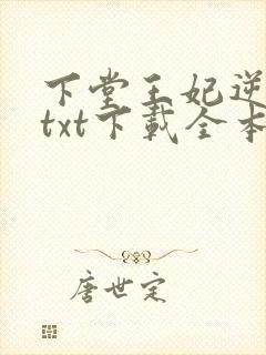 下堂王妃逆袭记txt下载全本