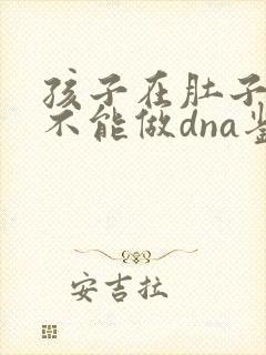 孩子在肚子里能不能做dna鉴定