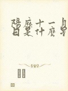 阳历十一月28日是什么星座