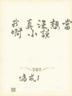 我真没想当反派啊 小说