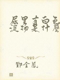 尿里有白色的沉淀物是什么原因