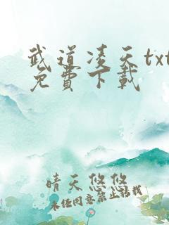 武道凌天txt免费下载