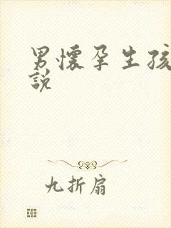 男怀孕生孩子小说