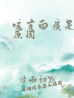 咳有白痰是什么原因