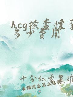 hcg检查怀孕多少费用