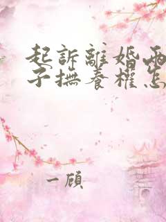 起诉离婚两个孩子抚养权怎么判