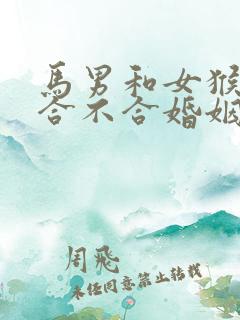 马男和女猴属相合不合婚姻