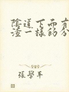 阴道下面有豆腐渣一样的分泌物是什么原因