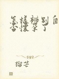 怎样辨别自己是否怀孕了