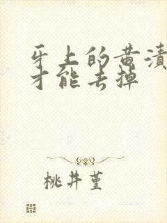 牙上的黄渍怎么才能去掉