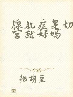 腺肌症是切掉子宫就好吗