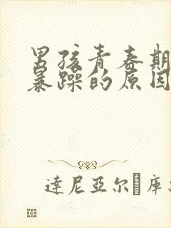 男孩青春期易怒暴躁的原因?