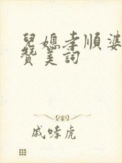 儿媳孝顺婆婆的赞美词