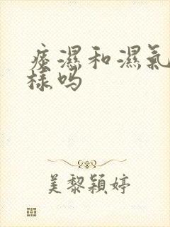 痰湿和湿气重一样吗