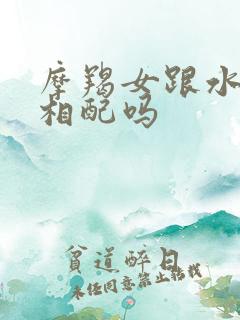 摩羯女跟水瓶男相配吗