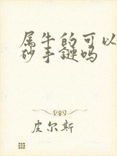 属牛的可以戴朱砂手链吗