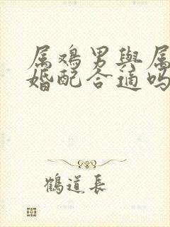 属鸡男与属马女婚配合适吗