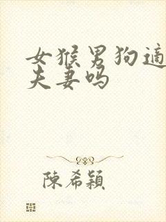 女猴男狗适合做夫妻吗