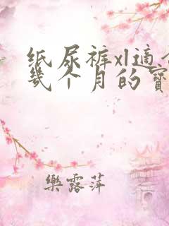 纸尿裤xl适合几个月的宝宝