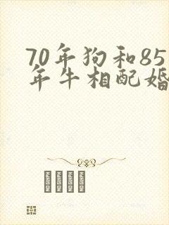 70年狗和85年牛相配婚姻如何