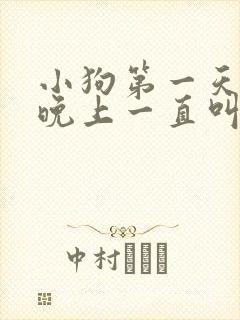 小狗第一天到家晚上一直叫怎么办