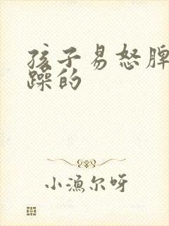 孩子易怒脾气暴躁的