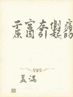 子宫左侧痛什么原因引起的