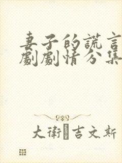 妻子的谎言电视剧剧情分集介绍