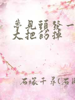 梦见头发一抓一大把的掉