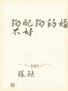 狗配狗的婚姻好不好