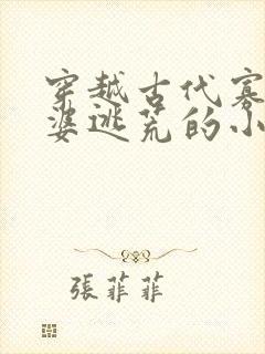 穿越古代寡妇婆婆逃荒的小说