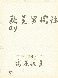 欧美男同性恋gay
