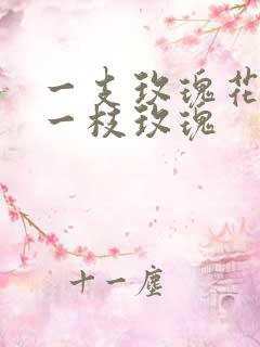 一支玫瑰花还是一枝玫瑰