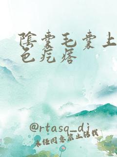 阴囊毛囊上有白色疙瘩